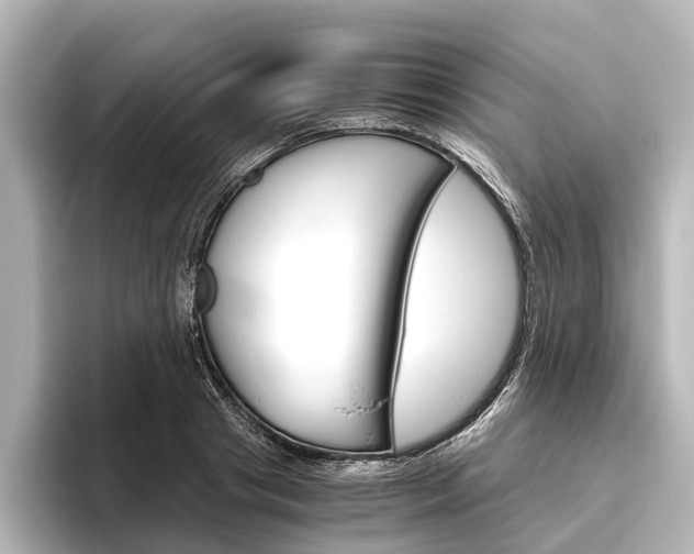 X0000096420841200801241002