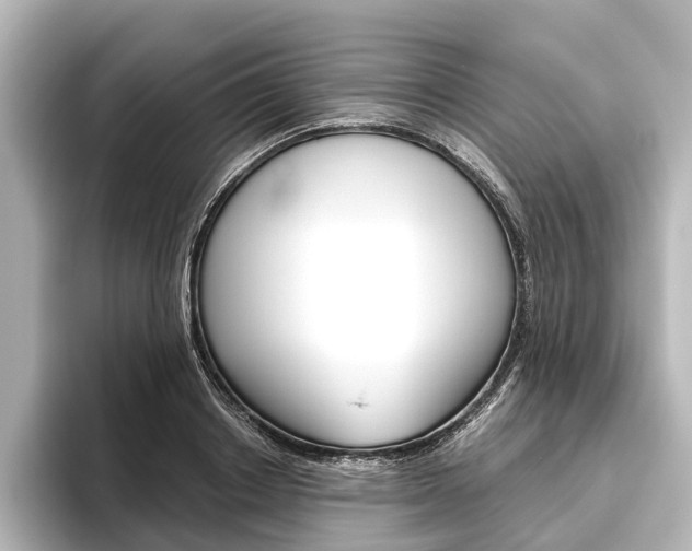 X0000096420842200801241002
