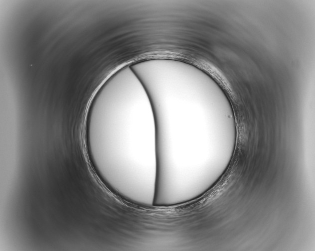 X0000096420844200801241002
