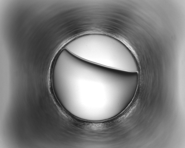X0000096420845200801241002