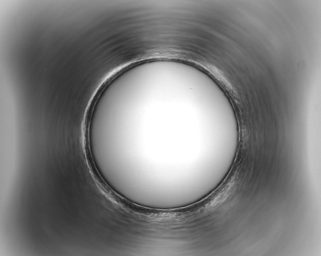 X0000096420846200801241002