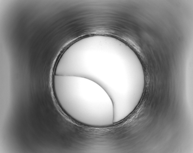 X0000096420848200801241002