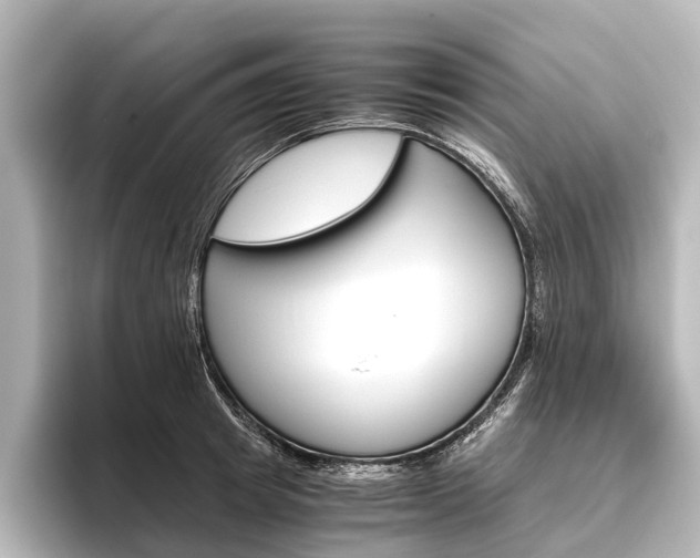 X0000096420849200801241002