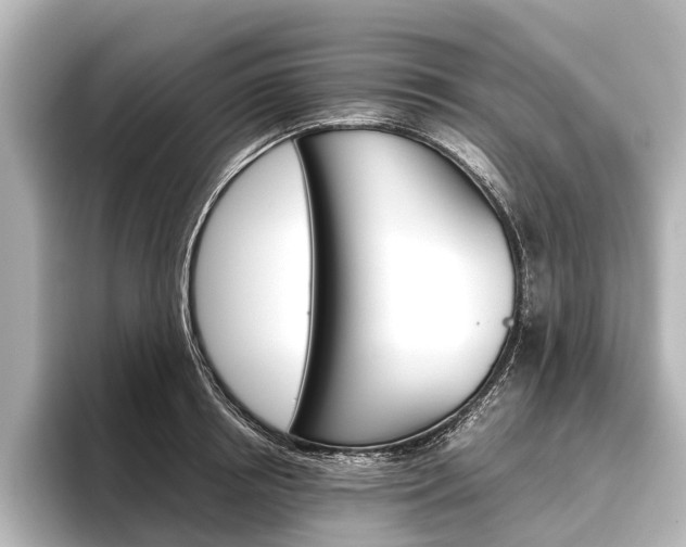X0000096420850200801241002