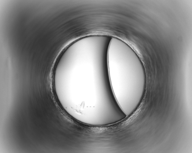 X0000096420854200801241002