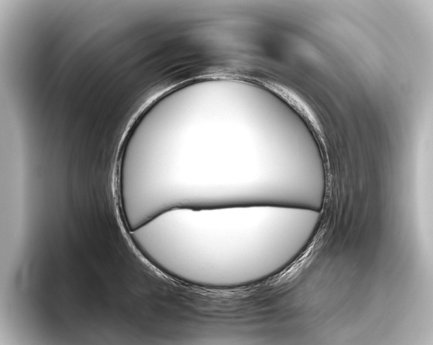 X0000096420855200801241002