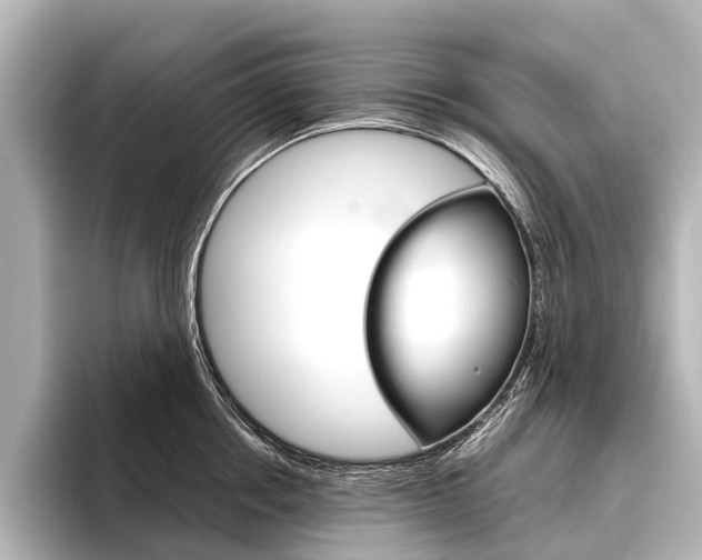 X0000096420858200801241002