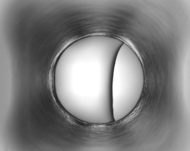 X0000096420859200801241002