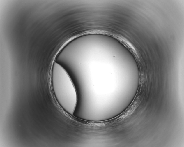 X0000096420860200801241002