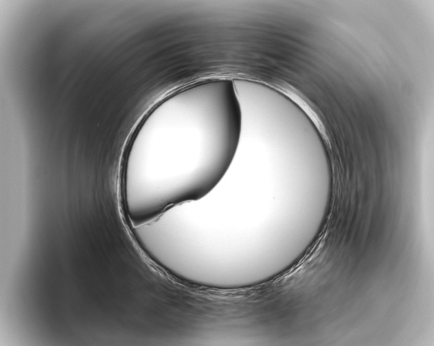 X0000096420861200801241002