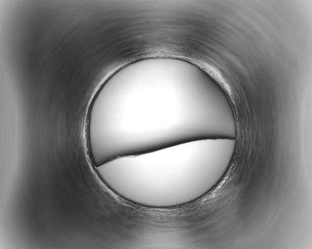 X0000096420863200801241002