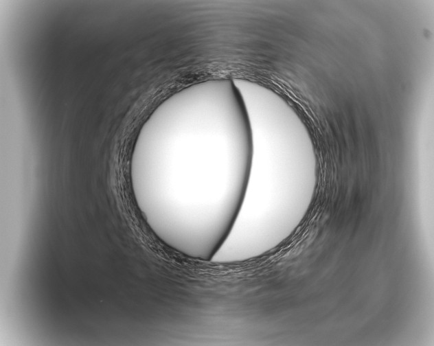 X0000096420865200801241001