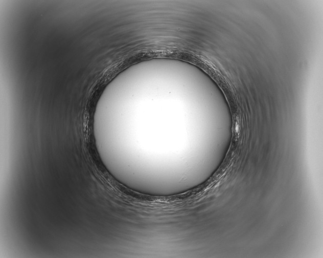 X0000096420867200801241001