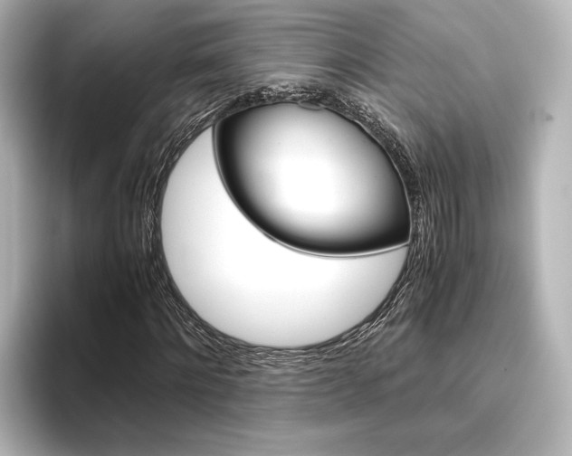 X0000096420868200801241001