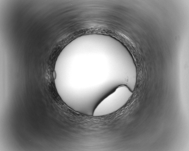 X0000096420869200801241001