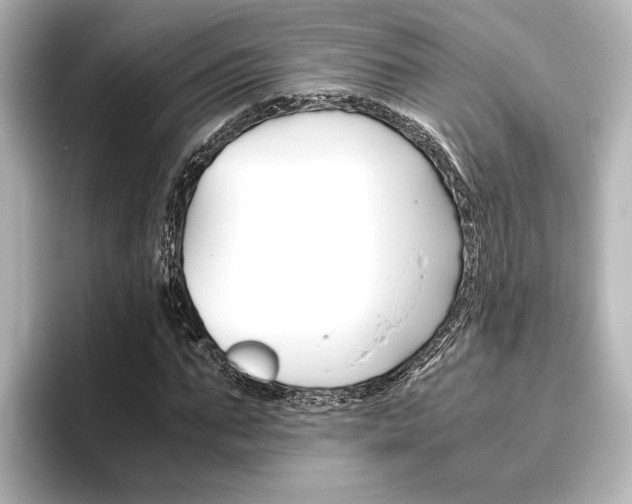 X0000096420871200801241001