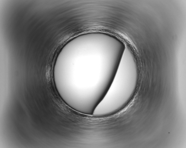 X0000096420873200801241001