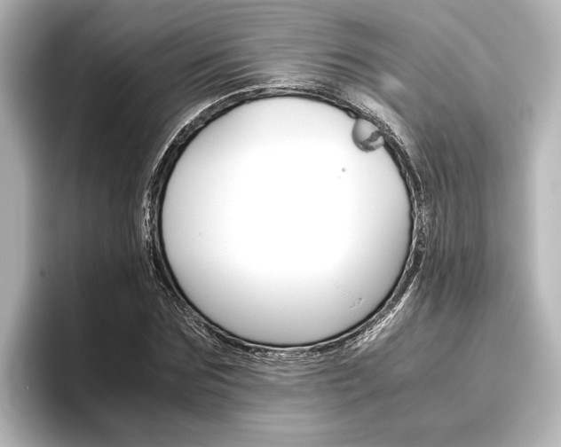 X0000096420875200801241001