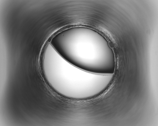 X0000096420876200801241001