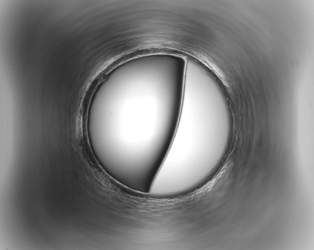 X0000096420877200801241001