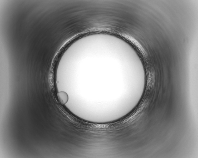X0000096420878200801241001