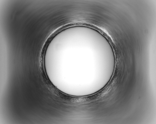 X0000096420879200801241001