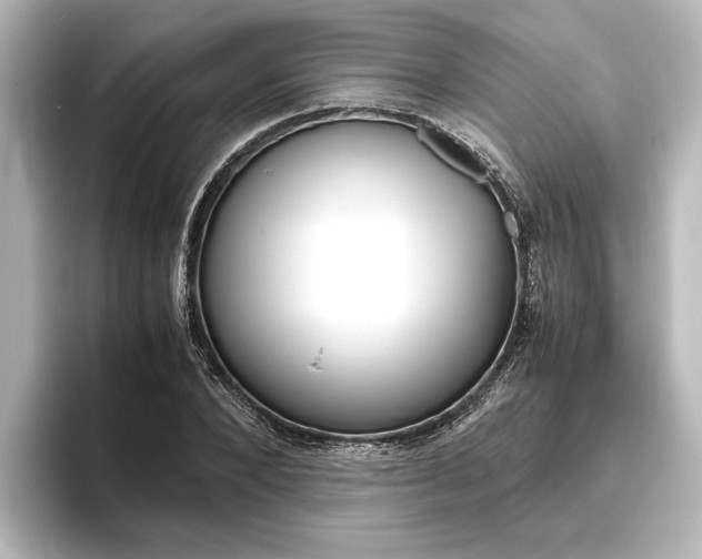 X0000096420880200801241001