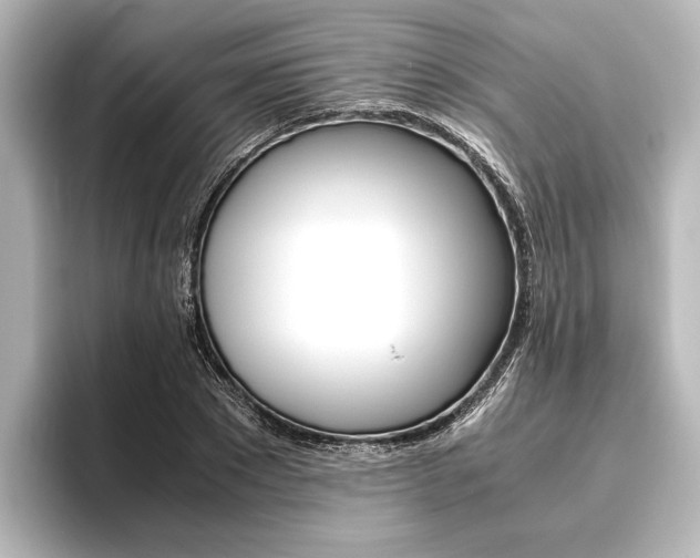 X0000096420881200801241001