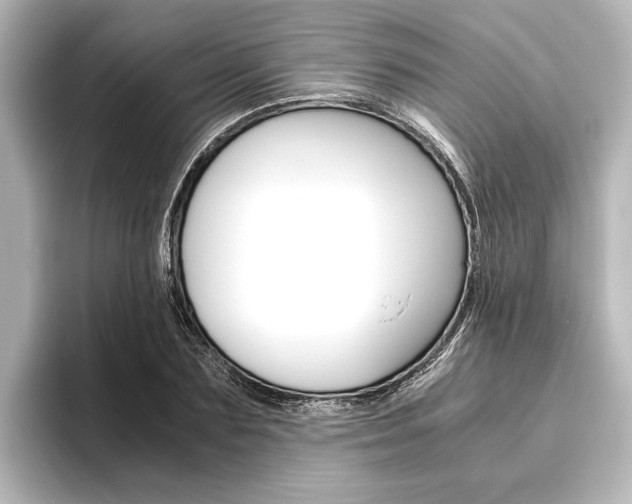 X0000096420883200801241001