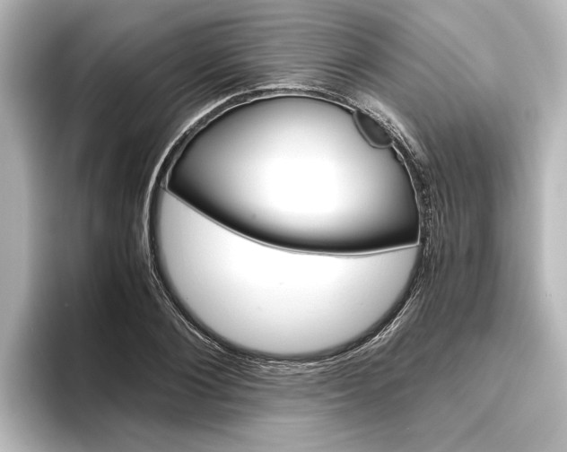 X0000096420884200801241001