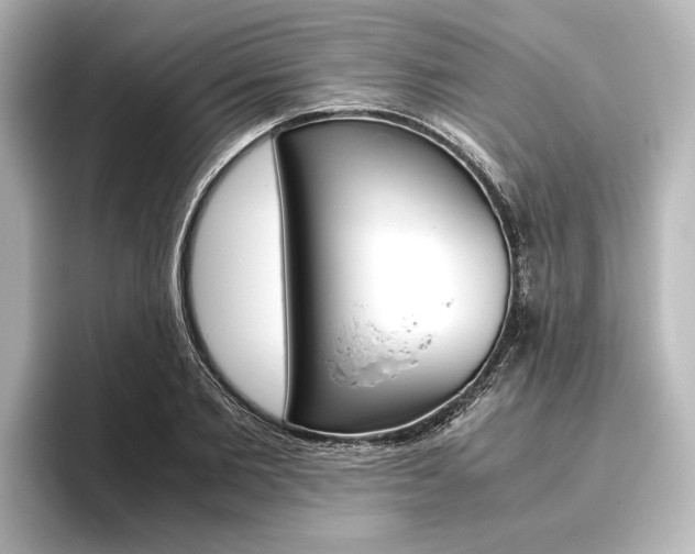 X0000096420885200801241001