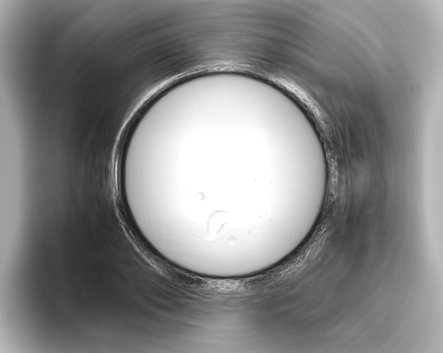 X0000096420886200801241001
