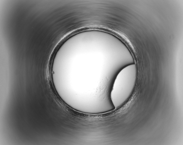 X0000096420887200801241001