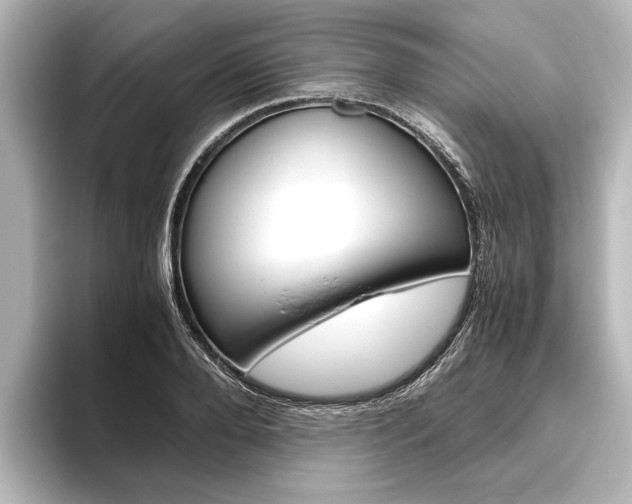 X0000096420888200801241001