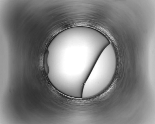 X0000096420889200801241001