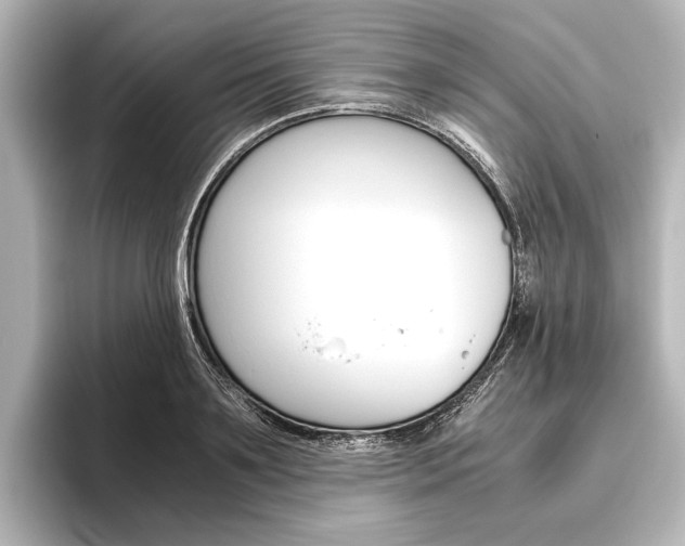 X0000096420891200801241001