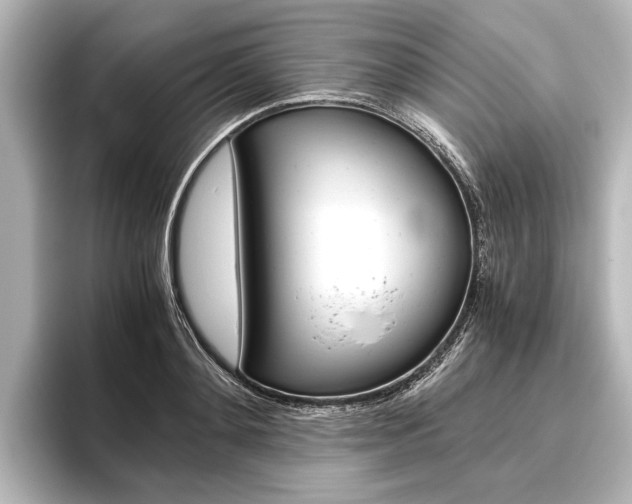 X0000096420892200801241001
