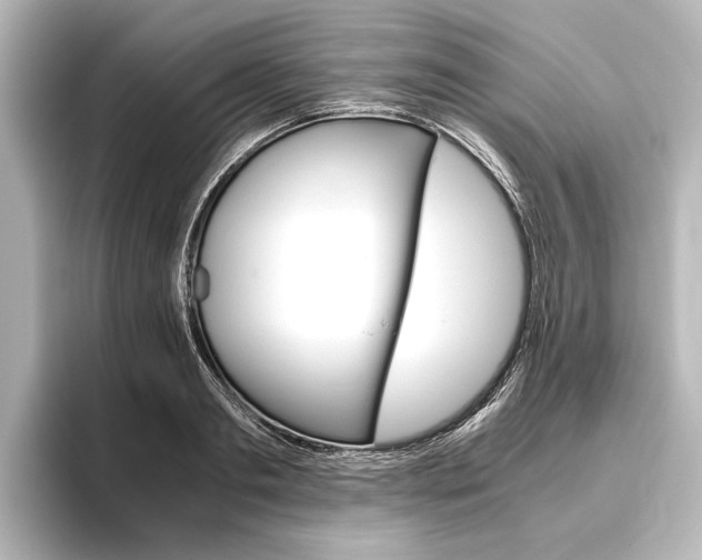 X0000096420893200801241001