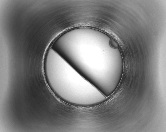 X0000096420894200801241001