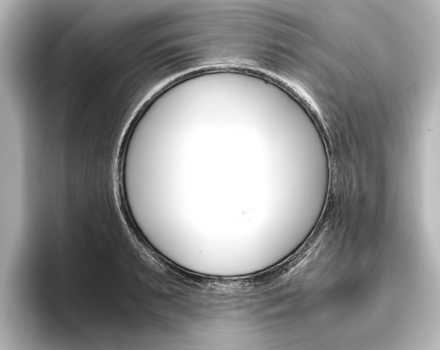 X0000096420895200801241001