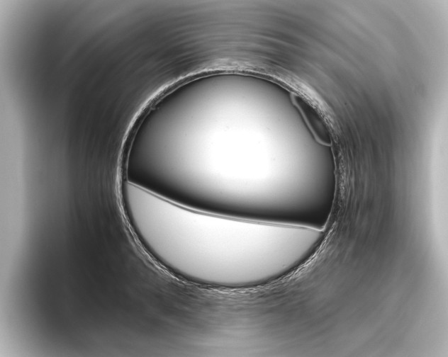 X0000096420896200801241001