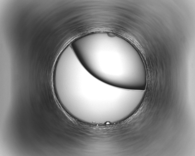 X0000096420898200801241001
