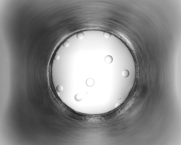 X0000096420899200801241001