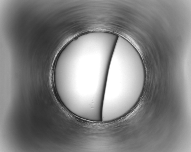 X0000096420901200801241001