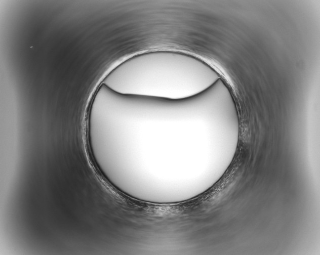 X0000096420903200801241001