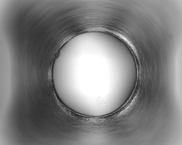 X0000096420905200801241001