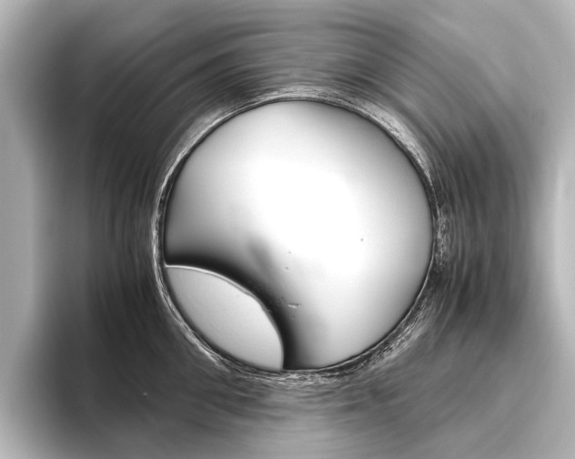 X0000096420906200801241001