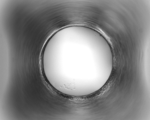 X0000096420907200801241001