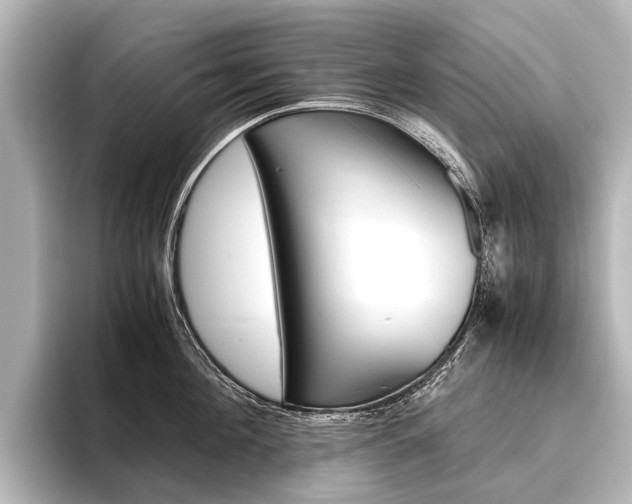 X0000096420908200801241001