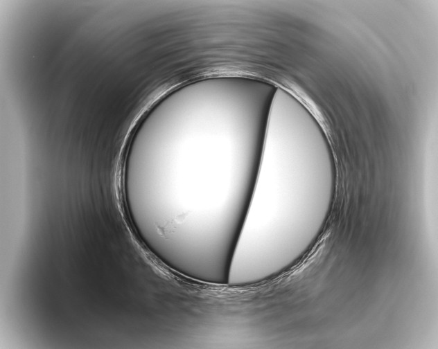 X0000096420909200801241001